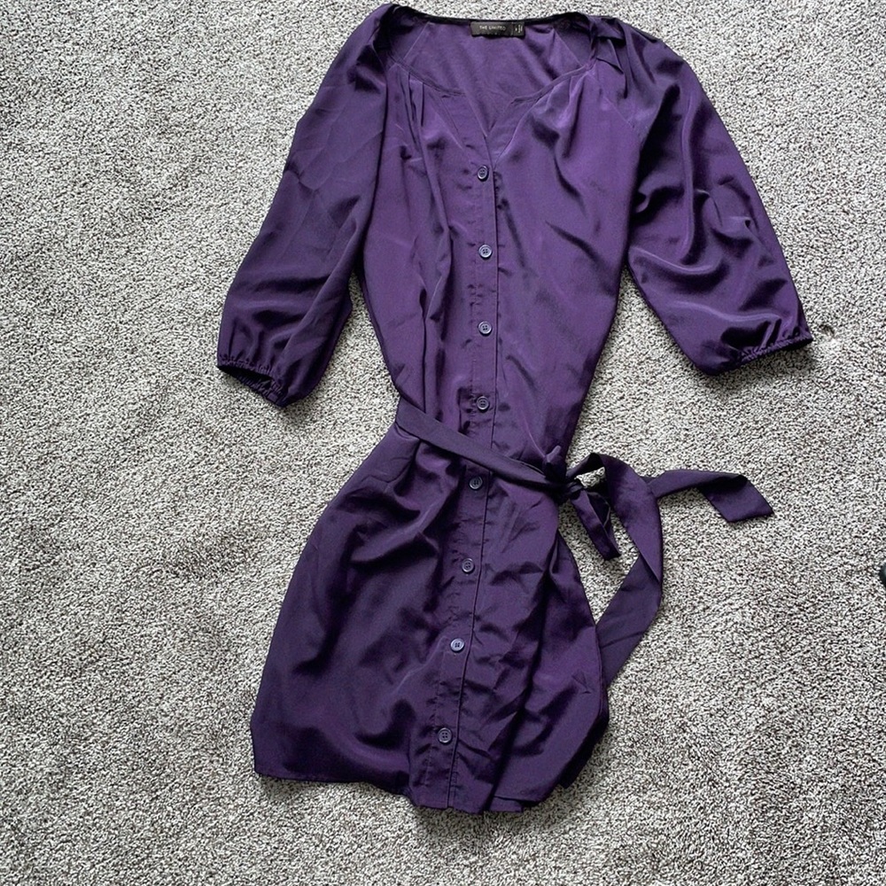 Plum button down dress